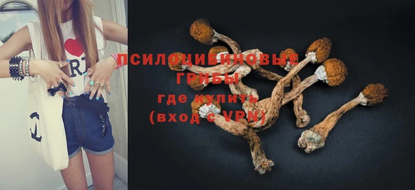MESCALINE Михайлов