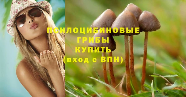 хмурый Михайловск